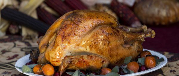 turkey